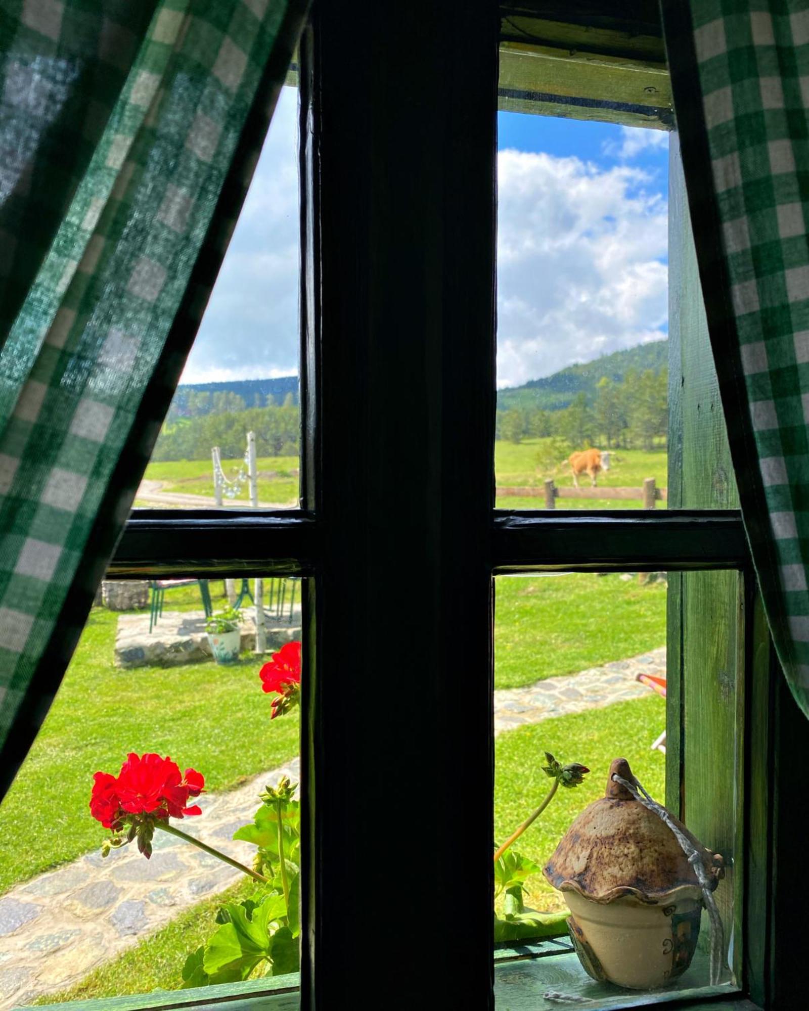 Mali Tornik Ferienhaus Zlatibor
